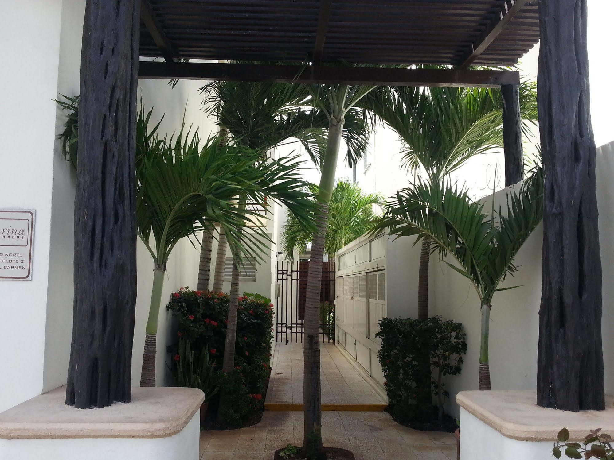 Vida Nueva Bed&Breakfast Peregrina Playa del Carmen Exterior foto